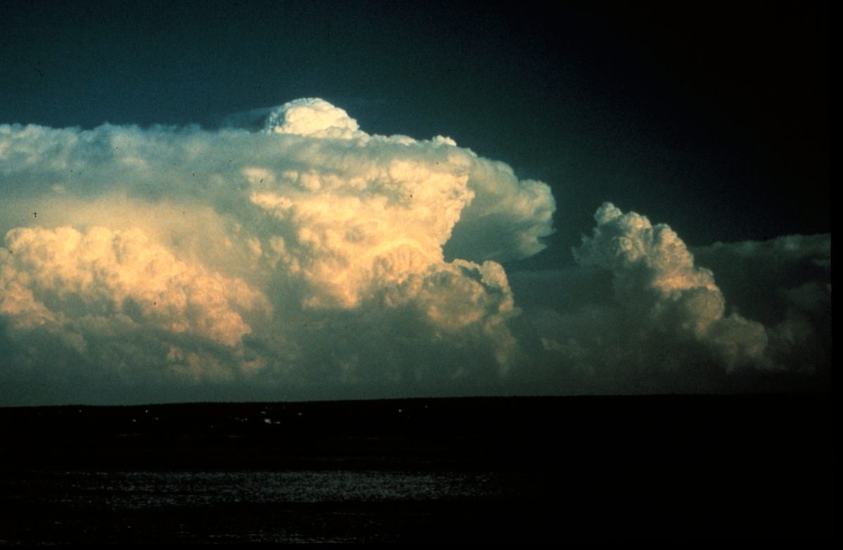 A towering cumulonimbus cloud rising to a flattened anvil top, the shape produced by strongly rising air meeting a stable layer.