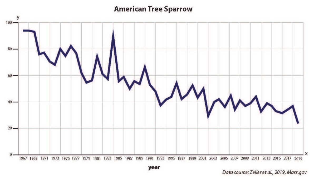 OpenSciEd historical American tree sparrow abundance-indicator graph with year-to-year changes and an overall decline, credited to Zeller et al. (2019) and Mass.gov; vertical units are not specified as a census count.